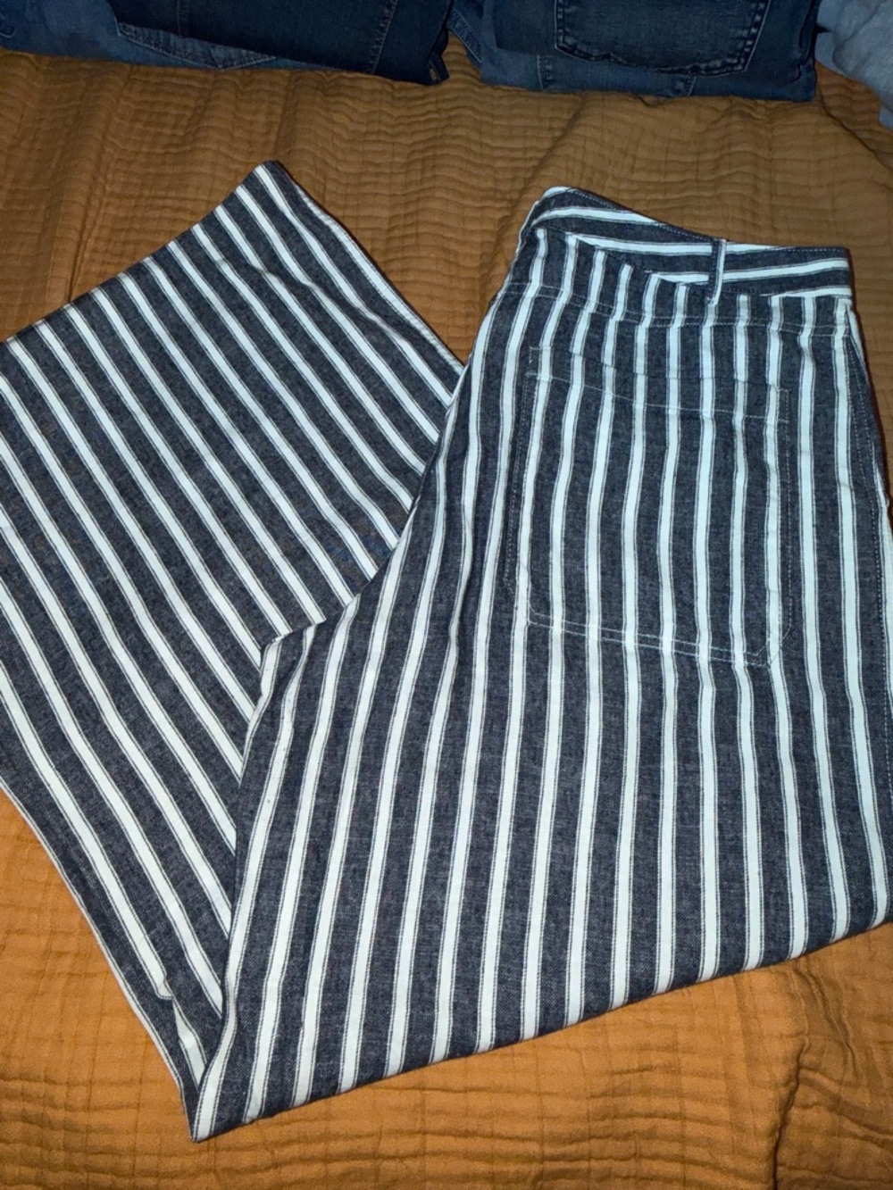 Madewell Navy and White Vertical Stripe pants and blue pants